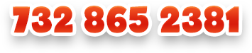 732 865 2381